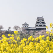 Ozu_Castle_PhotoGreen_Distinations