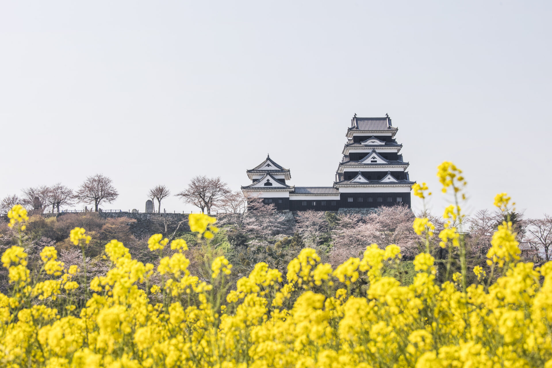 Ozu_Castle_PhotoGreen_Distinations